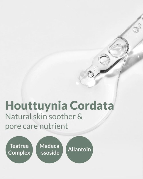 HERBNOTE Heartleaf Soothing Moisture Ampoule - Enriched with 80% Extracted Houttuynia Cordata, Teatree & Pantenol - Effective for Sebum Control - Clinical Tested, 1.35 fl.oz