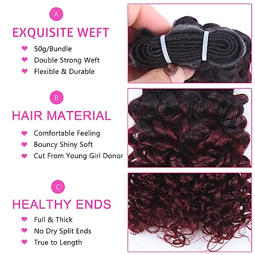 1b/99j Curly Human Hair Bundles and Closure(10 10 10+10) Kinky Curly Bundles Human Hair Brazilian Virgin Ombre 99j Burgundy Red Human Hair 3 Bundles with 4x4 Closure 50 Gram/Bundle