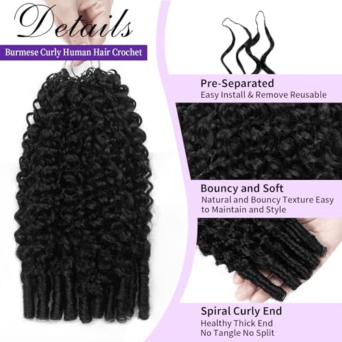 Burmese Curly Human Crochet Hair 20 Inch 120g Human Feather-Line Invisible Crochet Hair Pre Separated Knotless Crochet Human Hair For Braiding Twist