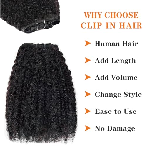 Afro Kinky Curly Clip in Hair Extensions Human Hair 4C Hair Clip in Extensions 8pcs 240g/set 10A Brazilian Virgin Natural Hair Clip Ins for Black Women Natural Black Color 14 Inch