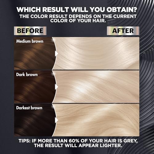 Garnier Hair Color Nutrisse Ultra Color Nourishing Cr?me, PL3 Ultra Cool Platinum (Charcoal), Permanent Hair Dye, 1 Count (Packaging May Vary)