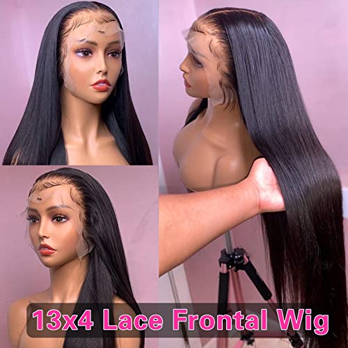 Straight Lace Frontal Human Hair Wigs Pre Plucked Glueless 13x4 HD Lace Front Wigs Human Hair 180% Density Pre Plucked with Baby Hair Bleached