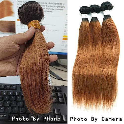 Straight Human Hair Bundles with Frontal Ombre Brown T1B/30 Color Lace Frontal Closure With Bundles (16 18 20+12 Frontal,242g) Remy 100% Human Hair Weave With Frontal for Black Women