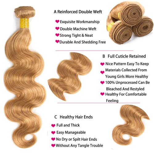 26 28 30 inch Honey Blonde Bundles Human Hair Color 27 Body Wave Bundles Double Weft Honey Blonde Body Wave Human Hair Extensions Soft and Silky for Women Color 27 Bundle
