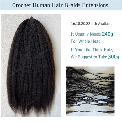 Kinky Straight Knotless Pre Separated Crochet Human Hair Extensions Pre Looped Braids Bundles With Threading Burmese Virgin Human Hair for Braiding Micro Link Meadow Hair 18inch 120g