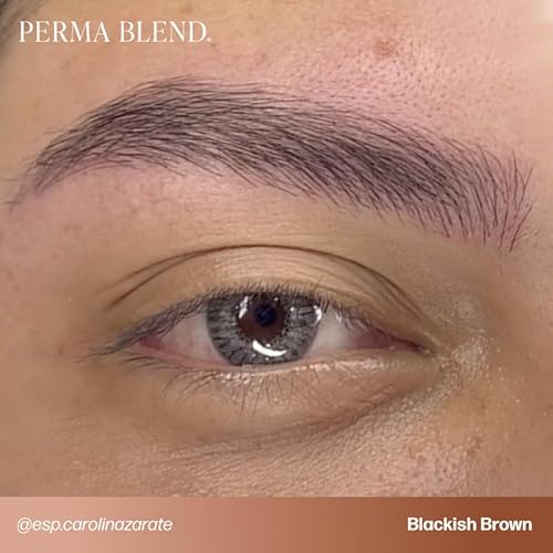 Perma Blend Cool Eyebrow Mini Set - Vegan PMU Tattoo Ink for Brows & Eyeliner - Microbalding Supplies for Permanent Makeup - Cool-Toned Pigment Kit for Cosmetic Tattoo Artists