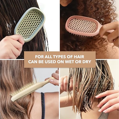 TADA Natural Beauty Hair Brush Detangler for Curly, Thick, Wavy, and Thin Hair - Ventilation Holes for Quick Drying and Styling, Detangler Brush for Women, Men, Kids (4 Colors) (4PK)