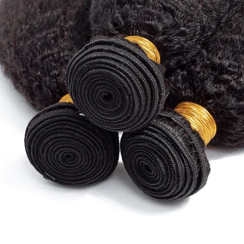 Kinky Straight Human Hair Bundles 100% Unprocessed Brazilian Remy Soft Yaki 3 Bundles Human Hair (22 24 26 Inch)