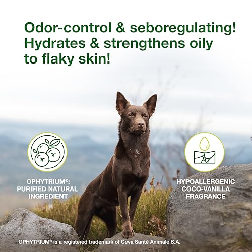 Douxo S3 Seb Mousse, Contains 0.5% Ophytrium, Odor Control & Seboregulating, For Oily to Flaky Skin, Seborrhea, For Dogs and Cats, 5.1 fl. oz. (150mL)