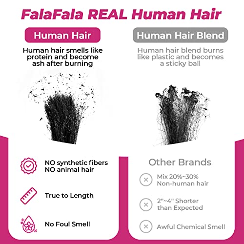 Body Wave Frontals 13x4 Ear to Ear Transparent Swiss Lace Pre Plucked Virgin Real Human Hair Frontals Bleached Knots Natural Hairline Frontal Only 14 Inch