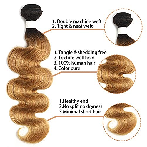 X-TRESS Ombre Honey Blonde Body Wave Human Hair Bundles Brazilian T1B/27 Virgin Human Hair 1 Bundles Human Hair Extensions(18 Inch,T1B/27)