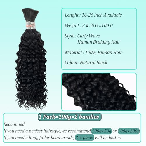 Curly Wave Bulk Human Hair For Braiding No Weft Unprocessed Brazilian Virgin Human Hair Extensions Wet And Wavy Micro Braiding Hair Human Hair Bundles For Boho Braids Natural Color(22inch 2pack/100g)