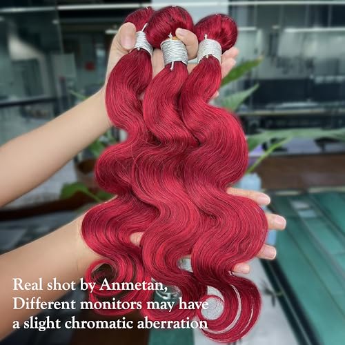 Red Burgundy 3 Bundles Human Hair Body Wave, 12A Colored 100% Unprocessed Remy Hair Soft and Bouncy Burgundy Cherry Red 99J Human Hair Wavy Bundles Sew in Double Weft Quick Weave 12 14 16 Inch