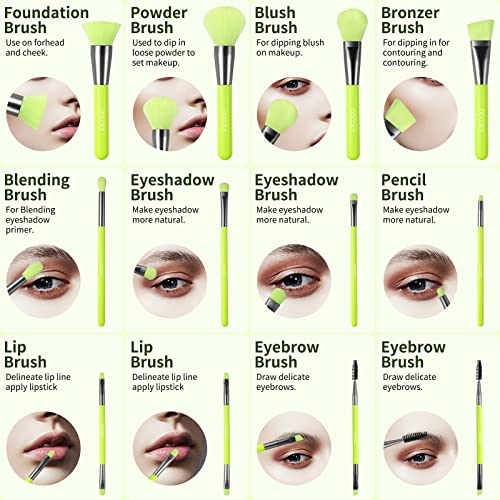 Docolor Makeup Brushes 10Pcs Makeup Brush Set Premium Synthetic Powder Kabuki Foundation Contour Blush Concealer Eye Shadow Blending Liner Make Up Brush Kit - Neon Green