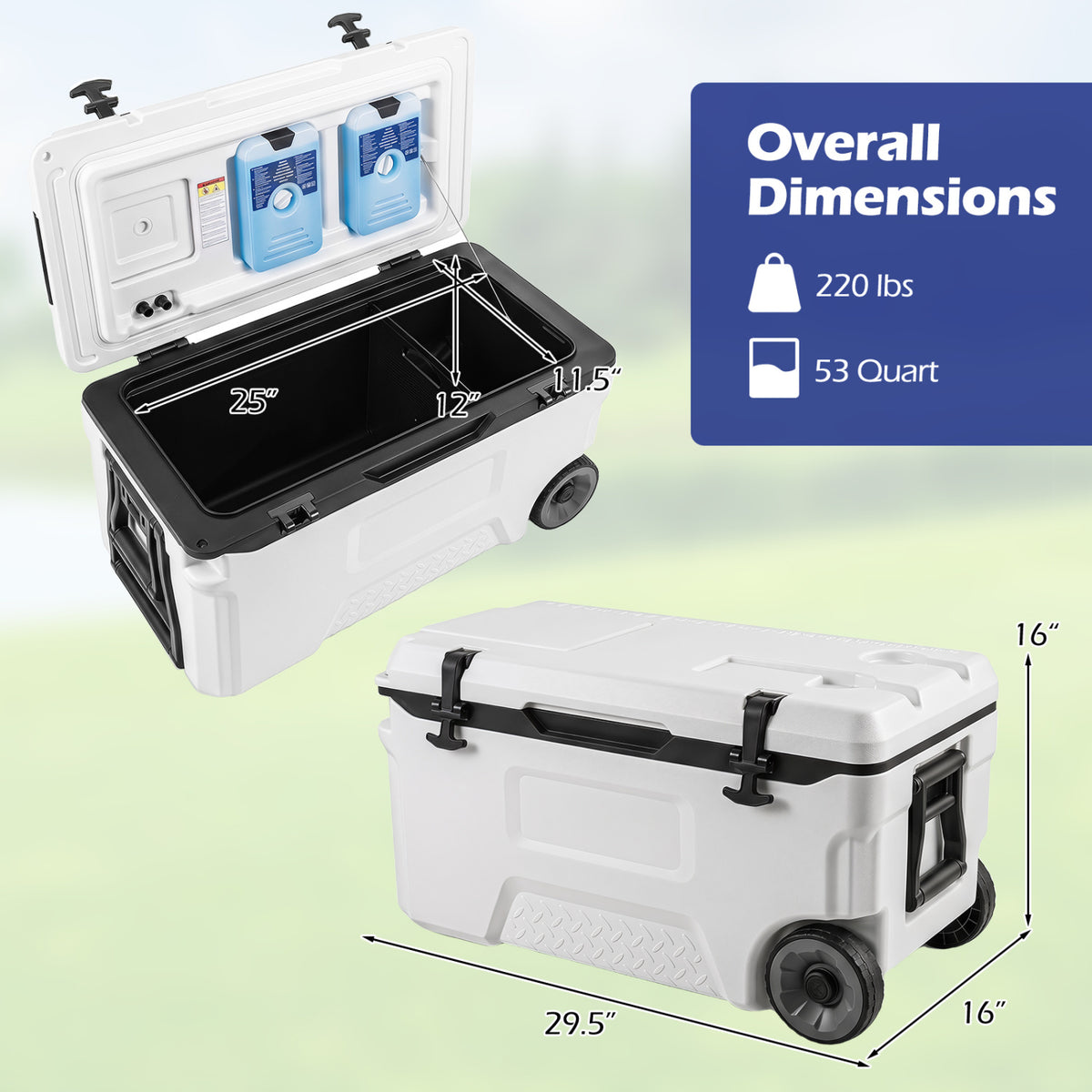 53 Quart Portable Rolling Cooler with Fish Ruler for Outdoor