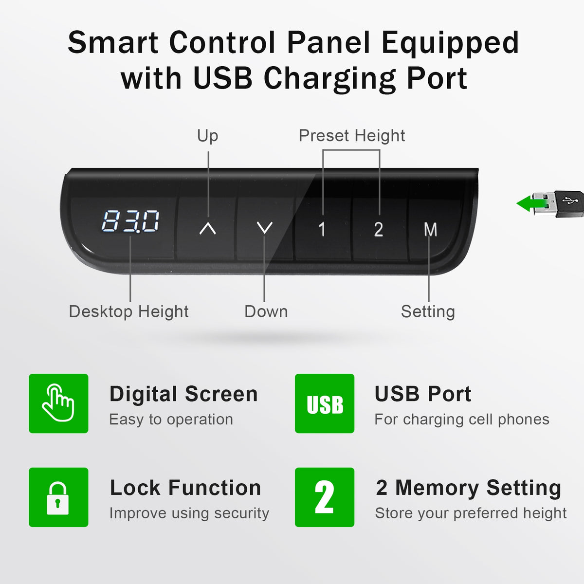 55 x 28 Inch Electric Standing Desk with USB Port