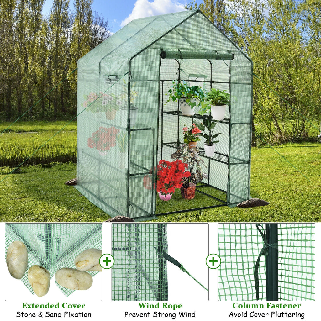 56 x 77 Inch Walk-in Greenhouse with Observation Windows