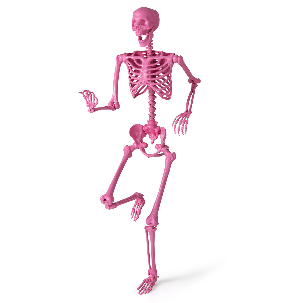 Pink Life-Size Poseable Skeleton Halloween Decoration with Movable Joints