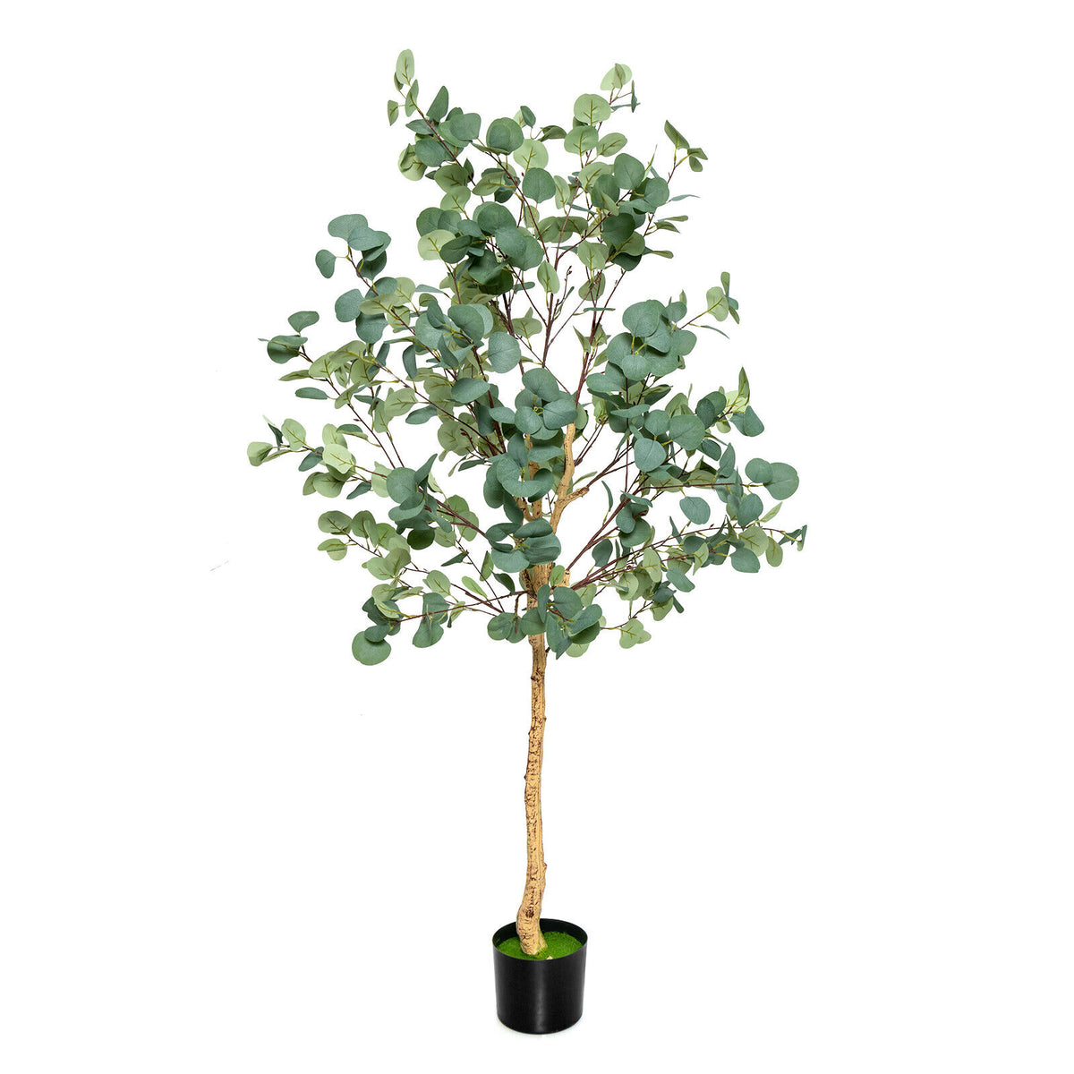 Artificial Eucalyptus Tree 5.5 Feet with 517 Silver Dollar Leaves - 1 Piece