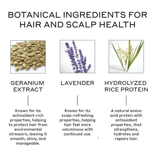 ZENAGEN Volume Foam | Lightweight Densifier + Volumizer, Boosts Hair Volume & Thickness, Provides Lightweight Hold, Nourishes & Strengthens Hair, Non-Greasy Plant-Based, Vegan, All Hair Types, 7 oz