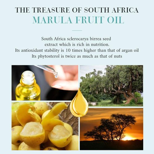 OPPEAL Marula Oil Hotel Toiletries Round Soap Bar - 0.5 Oz Travel Size in Bulk - Individually Wrapped - Ambergris Scent - 120 Bars per Case.