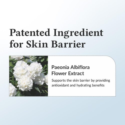 Dr.Althea 147 Barrier Cream | Daily Skin Barrier Care | Deep Hydrating with Hyaluronic Acid & Ceramides | Korean Vegan Skincare for All Skin Types | 1.7 Fl Oz