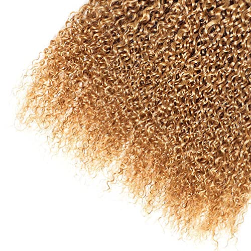 20 22 24 inch 1B27 Honey Blonde Kinky Curly Human Hair Bundles Ombre Blonde Curly Wave Bundles Human Hair Unprocessed Brazilian Virgin Weave Hair Bundles Kinky Curly Bundles Human Hair