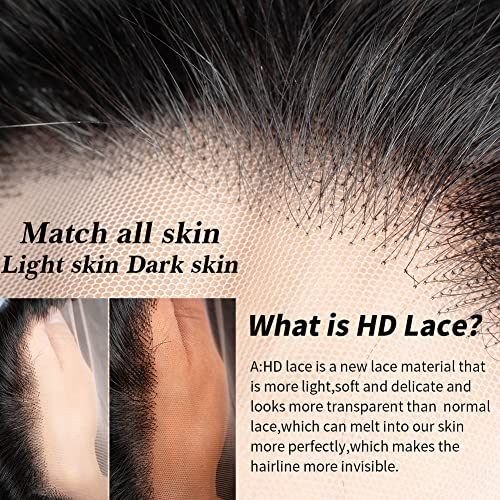 Spotlight 13x4 HD Lace Front Wig Human Hair,180% Density Transparent Body Lace Frontal Wig,Pre Plucked with Baby Hair - 3D Lace (26 inch)