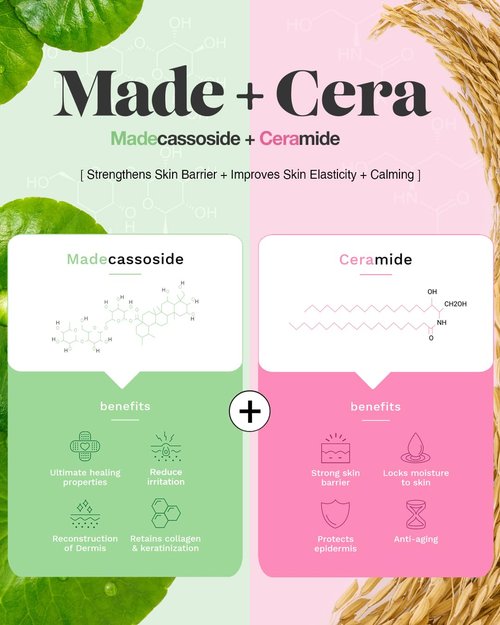 SKINRxLAB Made Cera Cream - Acne & Redness Relief Face Moisturizer, Sebum Control, Improving Skin Barrier with Ceramide and Madecassoside, Anti-Aging and Pore Minimizing Face Cream, 1.69 fl.oz.
