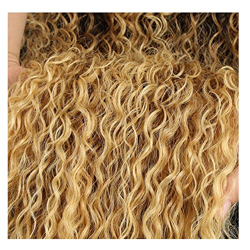 Ombre 1B27 Kinky Curly Bundles Black To Honey Blonde Human Hair Bundles Curly Wave Grade 8A Brazilian Remy Hair Weaves Extensions For Women 26 28 30 Inch