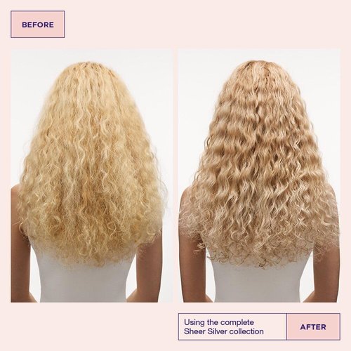 Maria Nila Sheer Silver, Hair Mask 8.5 Fl Oz, Neutralizes Golden Shades, Violet Pigments Gives Cool Tone, 100% Vegan & Sulfate/Paraben free