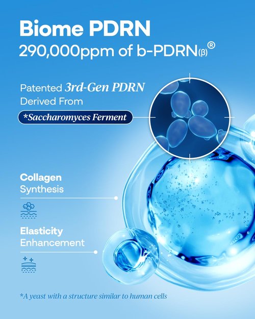 Bano PDRN 1000 Cream - PDRN & Collagen Firming Cream for Loose Skin | Face Moisturizer for Sensitive Skin | Bakuchiol for Skin Elasticity | Korean Skin Care | Fragrance-Free | 1.69 fl oz