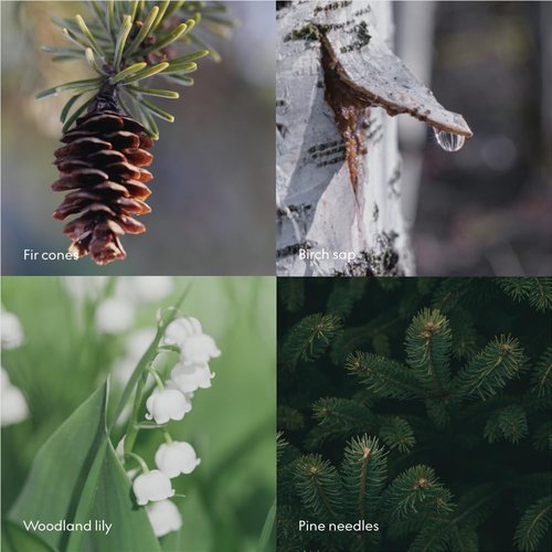 Skandinavisk SKOG ‘Forest’ Hand Body Lotion, Pine needles and fir cones, birch sap and woodland lily of the valley, 16.91 fl. oz.