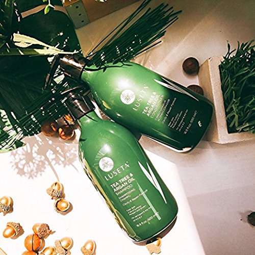 Luseta Tea Tree Oil Conditioner - Natural Anti Dandruff Treatment for Dry and Damaged Hair, Sulfate Free & Safe for Color Treated Hair 33.8oz