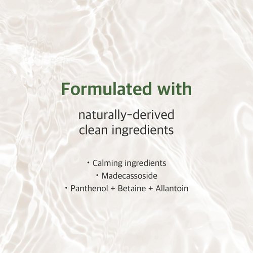 ROUND LAB Mugwort Calming Toner 300ml / Madecassoside, Soothing, Water Type Toner