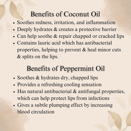 Shea Lip Butter - All Natural 4 Ingredient Lip Balm - Pack of 3 - for dry cracked lips, travel sized, ultra moisturizing vegan lip balm, for long lasting hydration & lip repair, w/Peppermint oil