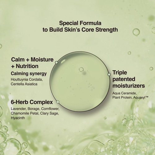 CHOSUNGAH BEAUTY Houttuynia Cordata Purity Skin Serum Pad – Hydrating and Soothing Toner Pads with Centella Asiatica for Sensitive Skin, 70 Pads