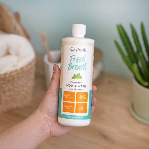 Oxyfresh Fresh Mint Flavored Mouthwash for Adults, Fresh Breath & Bad Breath Treatment – Dentist Recommended for Long - Lasting Fresher & Healthy Gums - Alcohol & Fluoride Free - 16 Fl Oz (Pack of 3)