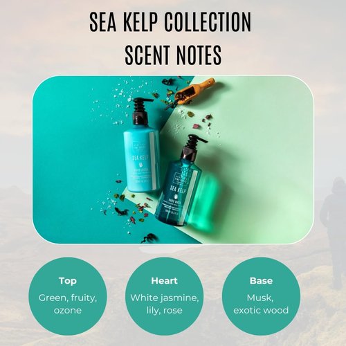 Sea Kelp by The Scottish Fine Soaps Company Marine Spa Hand & Nail Cream 75ml
