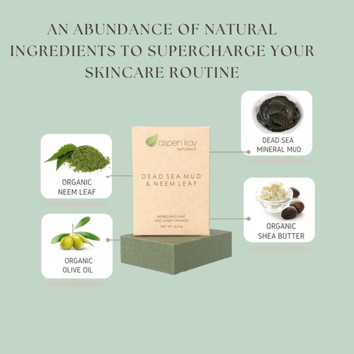 Aspen Kay Naturals Dead Sea Mud and Neem Soap - With Organic Shea Butter & Olive Oil. A Wonderful Neem Face Wash for all Skin Types. Handmade Soap - Made in USA. (3 pack)