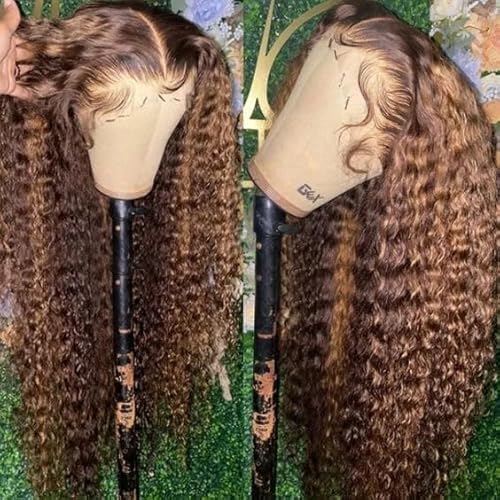 13x4 Highlight Ombre Deep Wave Lace Front Wigs Human Hair Pre Plucked 180% Density Glueless Transparent 4/27 Lace Front Wigs with Baby Hair Deep Wavy Lace Frontal Wigs for Women 26 Inch