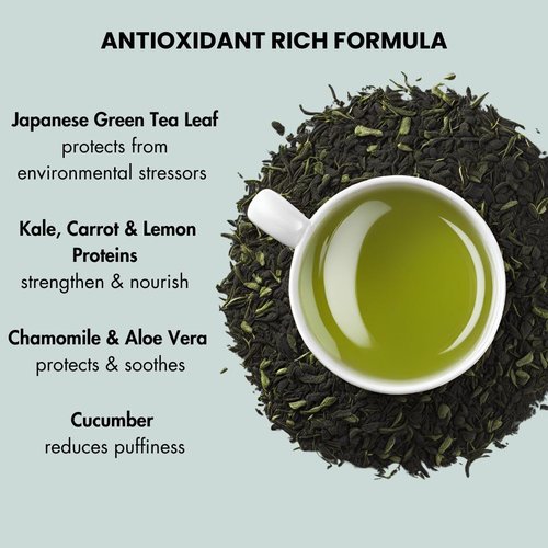 Antioxidant Plant Protein Facial Cleanser - Calming And Soothing With Green Tea And Aloe Vera - Hydrating And De-Puffing - Sulfate and Paraben Free