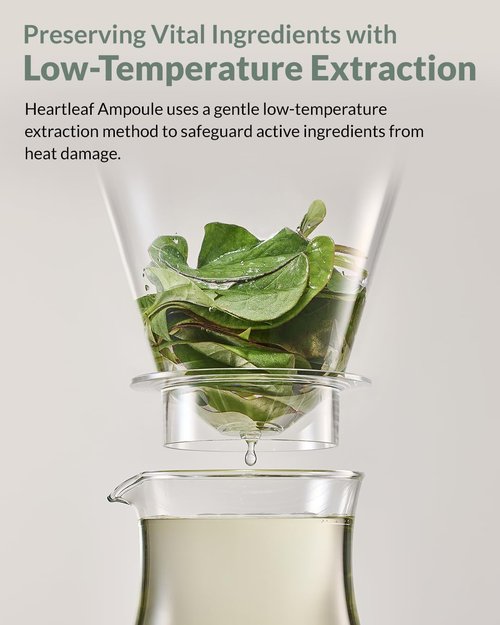 HERBNOTE Heartleaf Soothing Moisture Ampoule - Enriched with 80% Extracted Houttuynia Cordata, Teatree & Pantenol - Effective for Sebum Control - Clinical Tested, 1.35 fl.oz