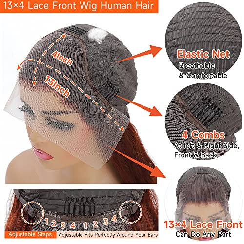 Avolo Reddish Brown Lace Front Wigs Human Hair Pre Plucked 13x4 HD Transparent Body Wave Auburn Colored Wig Glueless Frontal 32 Inch, 1.0 Count