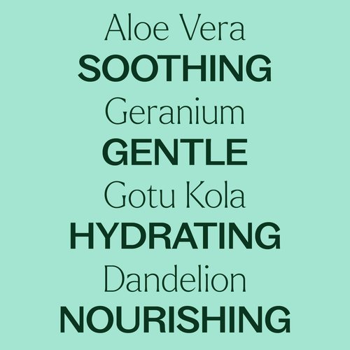 Plant Therapy Aloe Vera Jelly 16 oz, All Natural, Unscented Base - Newly Reformulated