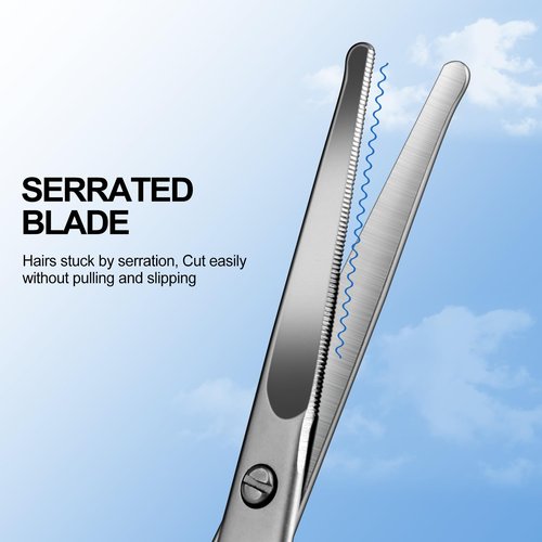 Lobodt 4.1inch round-headed stainless steel small scissors, suitable for trimming facial hair, nose hair, eyebrows, eyelashes, beards, personal care and salon beauty salons (matte silver)