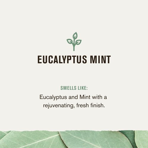 Every Man Jack Eucalyptus Mint Hydrating Mens Body Wash for All Skin Types - Cleanse, Nourish, and Hydrate Skin with Naturally Derived Ingredients - Paraben Free, Phthalate Free, Dye Free - 33.8oz