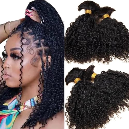 Afro Kinky Bulk Human Braiding Hair 100% Unprocessed Brazilian Virgin Human Hair Extensions Micro Kinky Curly Braids Hair Braids Double Drown Full End Bulk Hair 18 Inch 300g