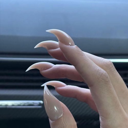 10 Pcs Luxury Medium Press on Nails Curved Stiletto Handmade Nails Press Ons Full Cover Glossy Dragon Claw Nude False Nails Reusable Acrylic Unique Eagle Claw Stick on Nail for Women（M）