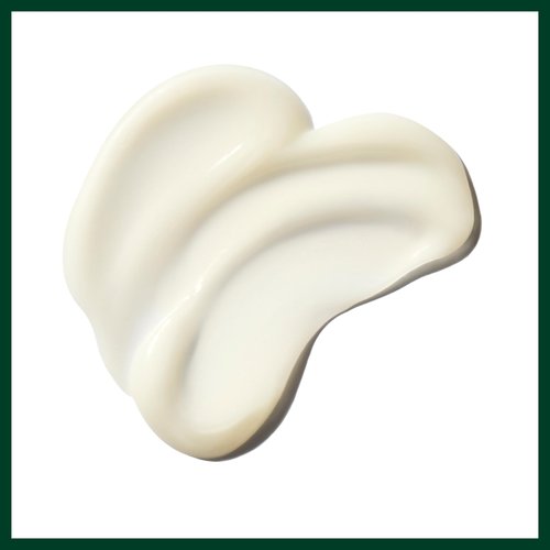 Aveda Be Curly Advanced Co-Wash | Enhances Curl Pattern, Hydrates Curly & Coily Hair | Fights Frizz | Sulfate Free | Silicone Free | 98% Naturally Derived*, 11.8 Fl Oz